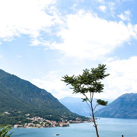 Animil 1 Daire Kotor Dış mekan fotoğraf