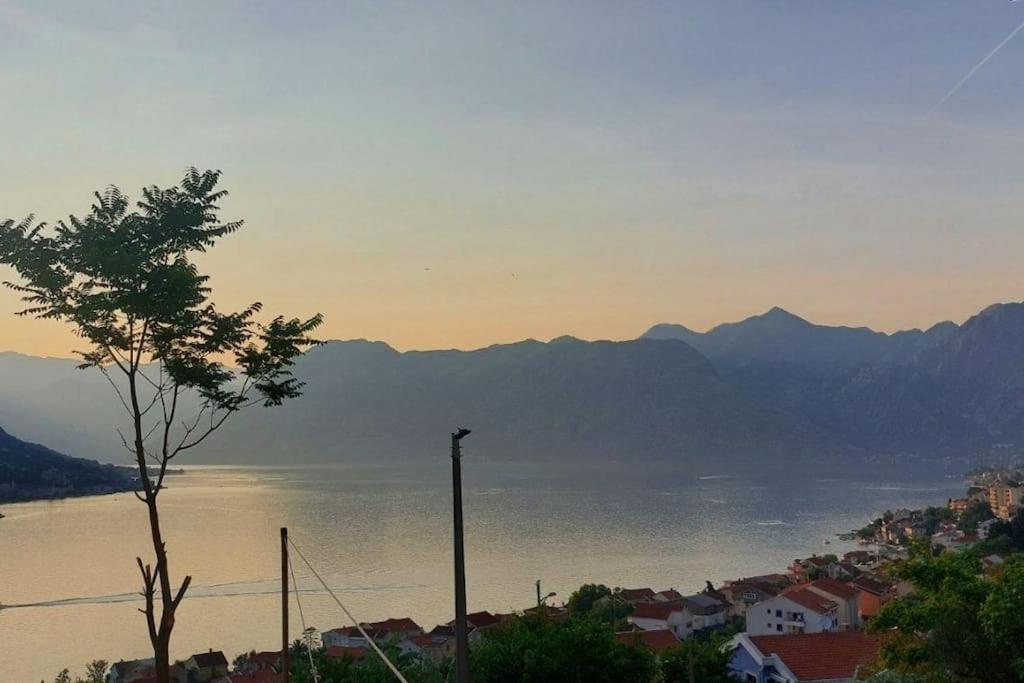 Animil 1 Daire Kotor Dış mekan fotoğraf