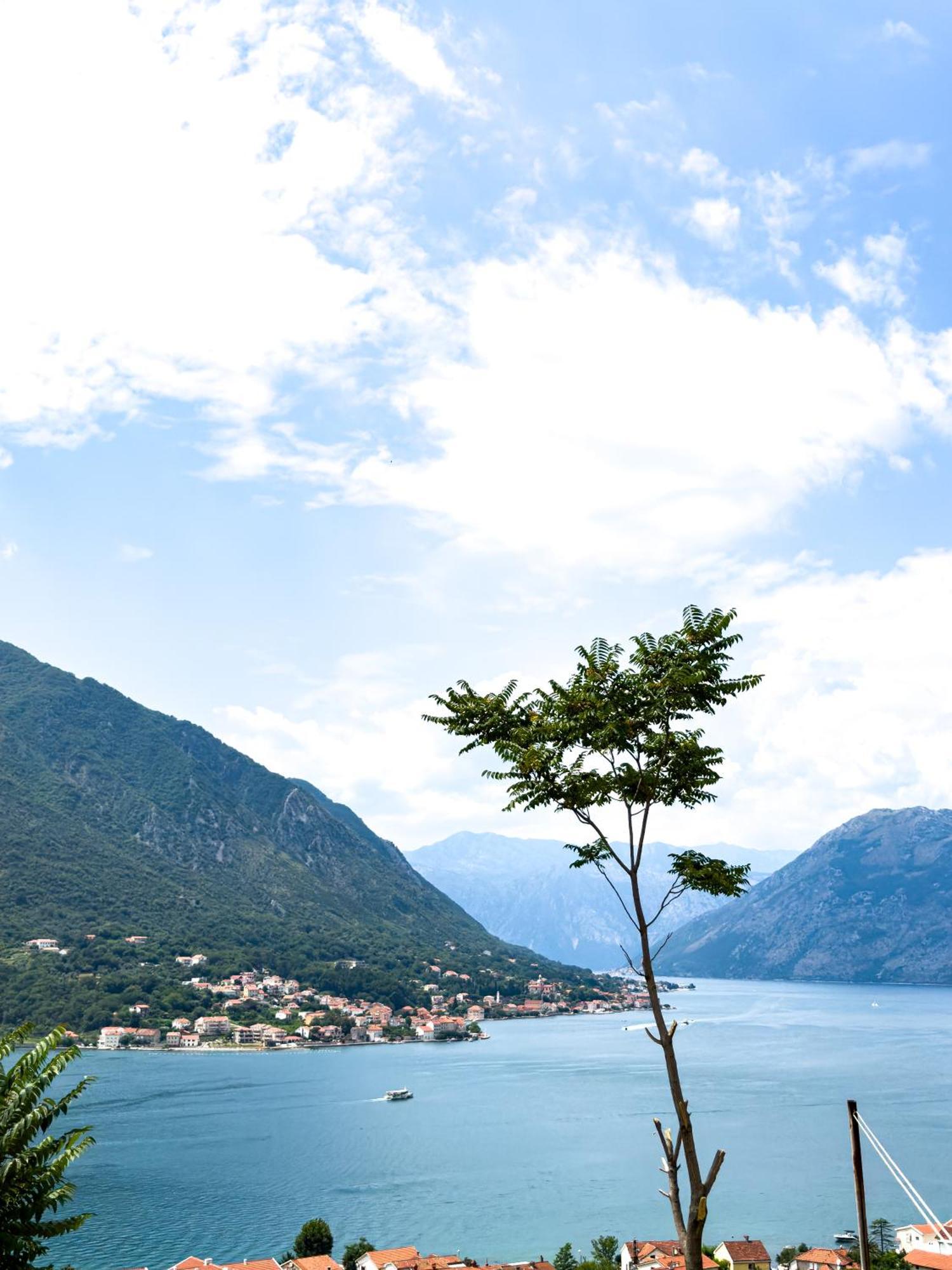 Animil 1 Daire Kotor Dış mekan fotoğraf